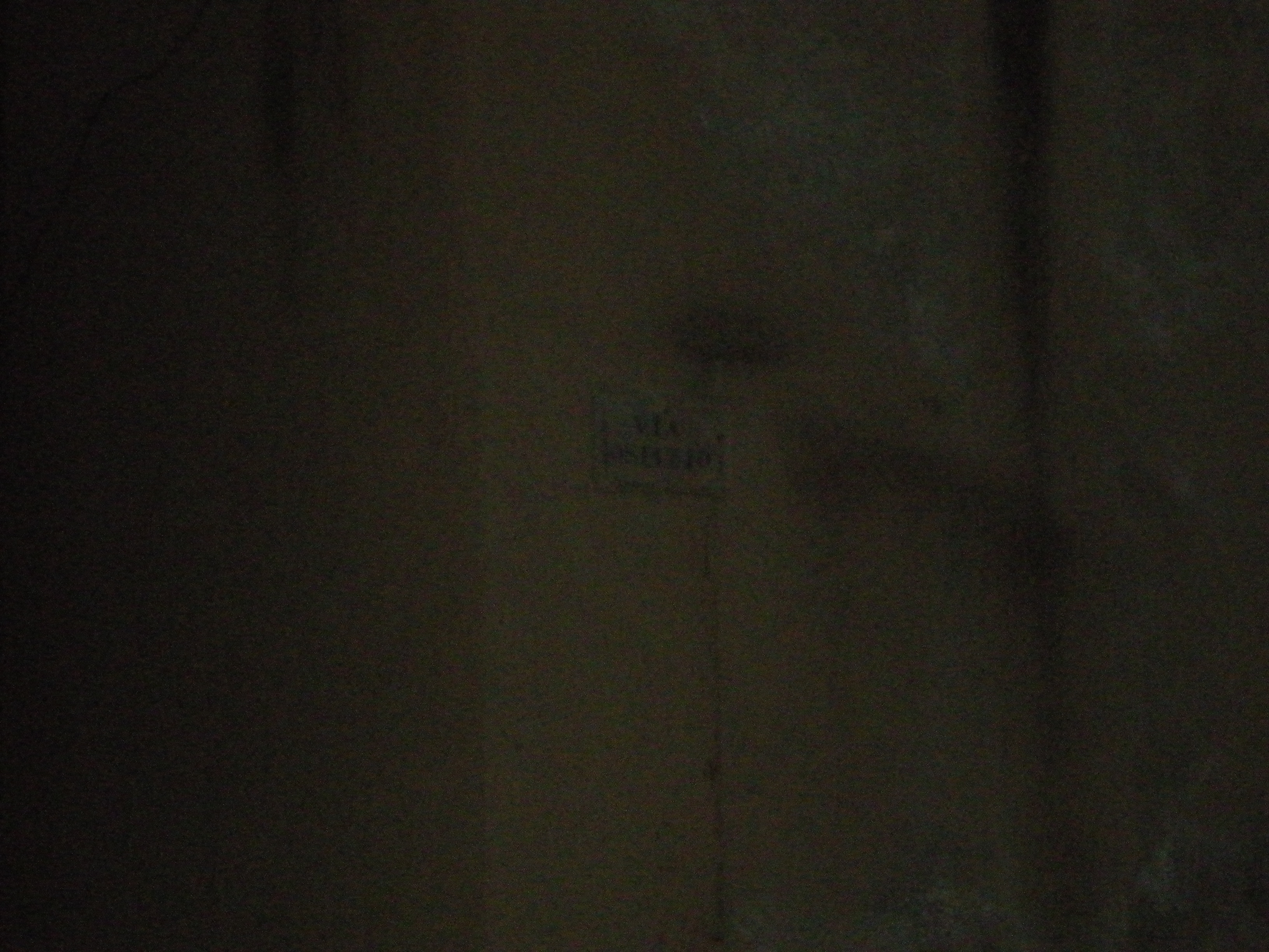 DSCN2063.JPG